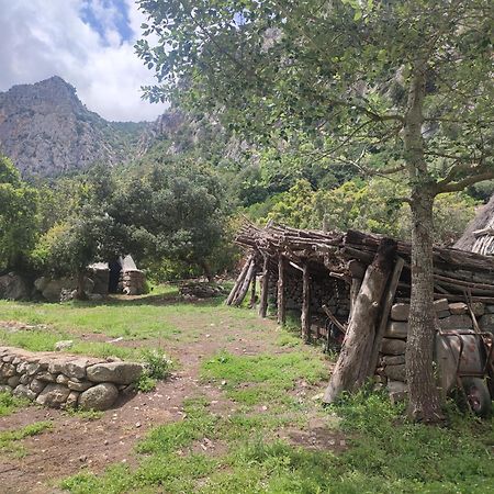 Appartamento Meduse Cala Gonone Exteriér fotografie