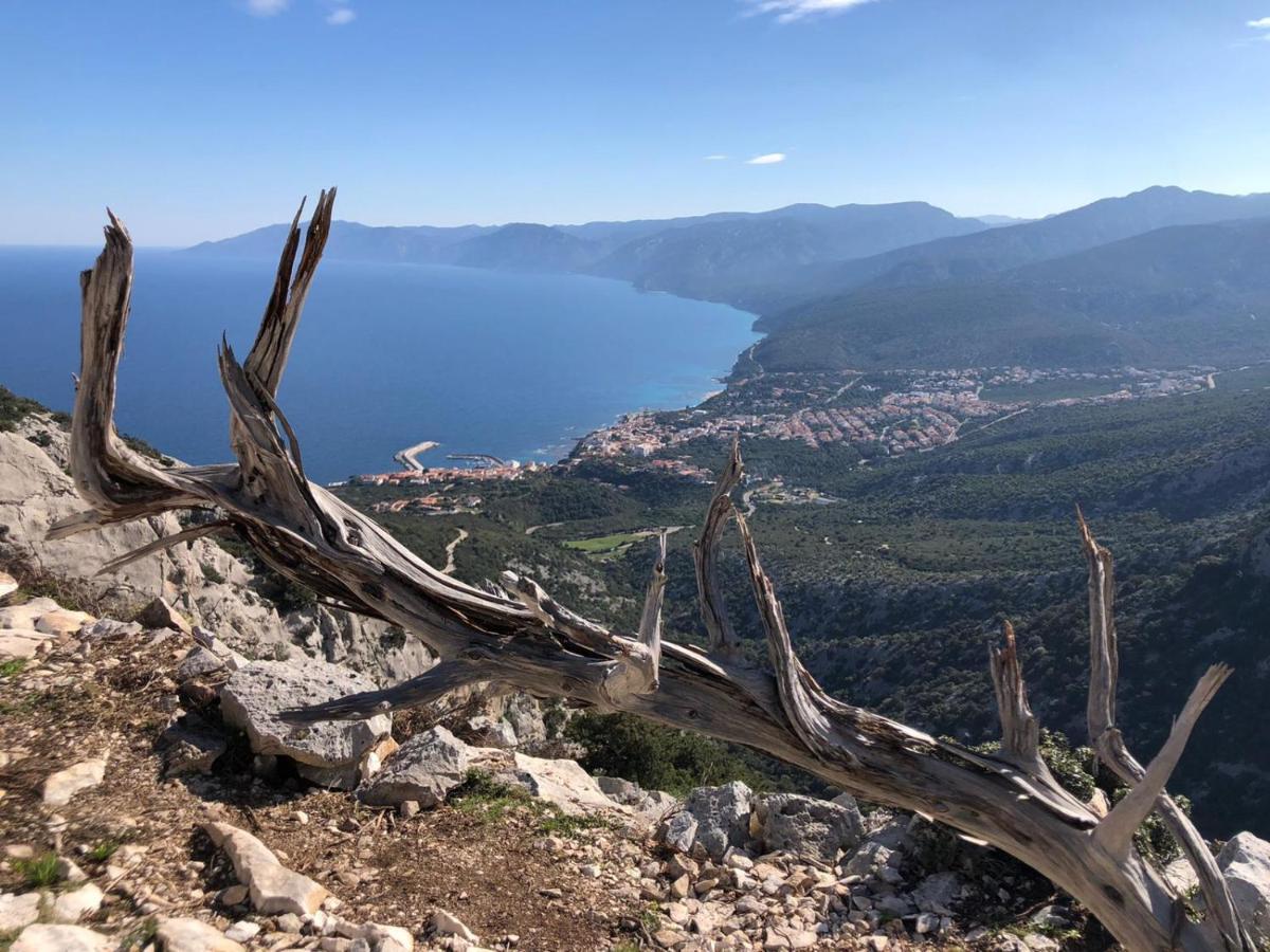 Appartamento Meduse Cala Gonone Exteriér fotografie